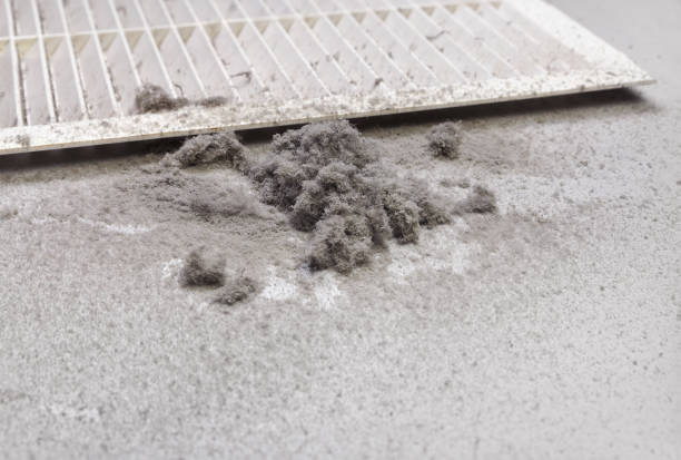 Best Best Air Duct Cleaning Company  in Harvest, AL