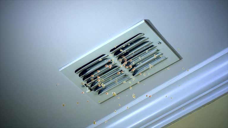 Best Ventilation Cleaning Services  in Harvest, AL