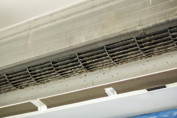 Best HVAC System Cleaning  in Harvest, AL